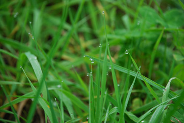 Similar image 21647423