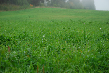 Similar image 21647760