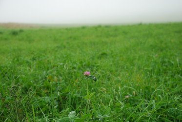 Similar image 21647424