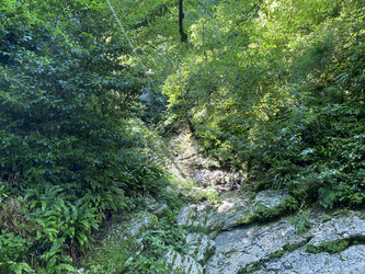 Similar image 21659433