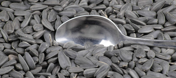 Similar image 21648018