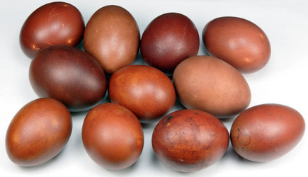 Similar image 21648024