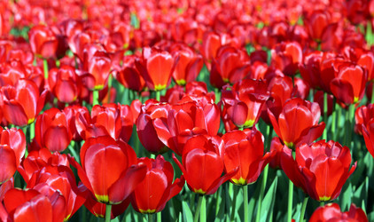 Similar image 21648035