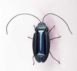 Similar image 21648045