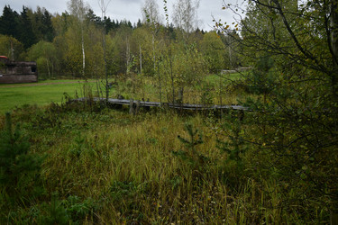 Similar image 21647220