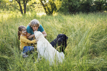 Similar image 21647615