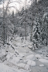 Similar image 21656498