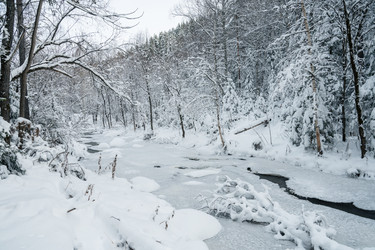 Similar image 21656501