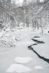 Similar image 21656502