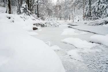 Similar image 21656503