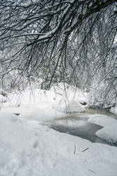 Similar image 21656506