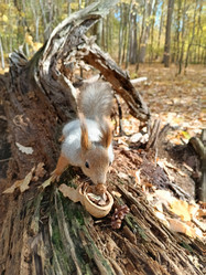 Similar image 21652531