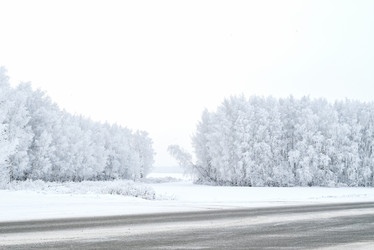 Similar image 21649303