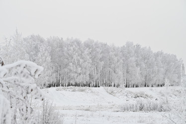 Similar image 21649306