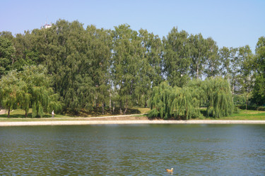 Similar image 21647923