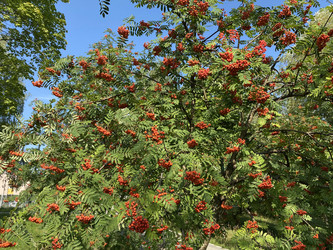 Similar image 21648054