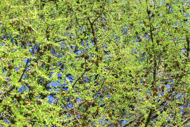 Similar image 21648057