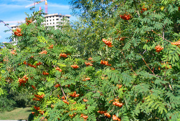 Similar image 21648063