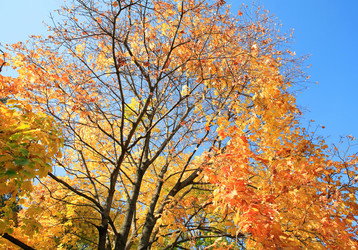 Similar image 21648068