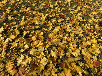 Similar image 21648073