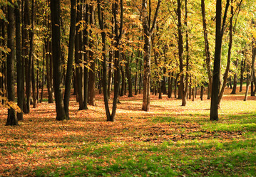 Similar image 21648074