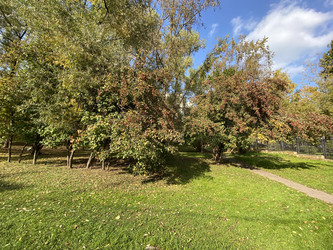 Similar image 21648075