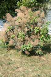 Similar image 21648078