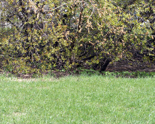 Similar image 21648080