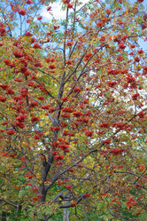 Similar image 21648082