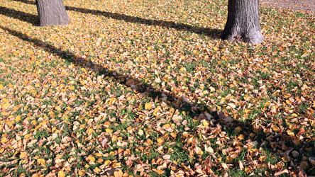 Similar image 21648087