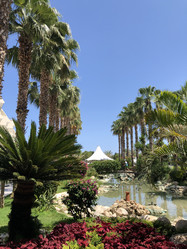 Similar image 21655634