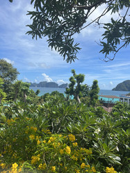 Similar image 21656296