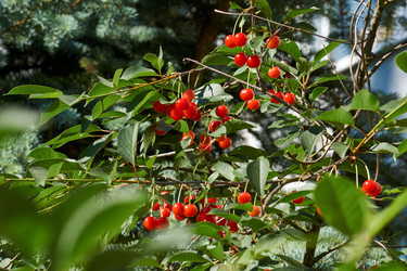 Similar image 21647772