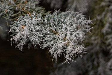 Similar image 21648188