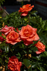 Similar image 21648191