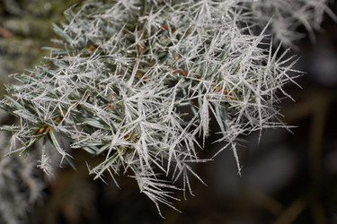 Similar image 21648194