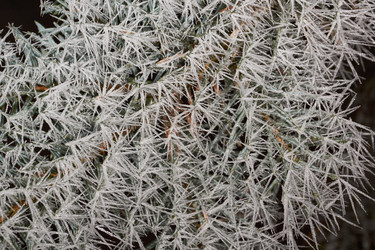 Similar image 21648196