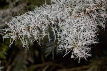 Similar image 21647773