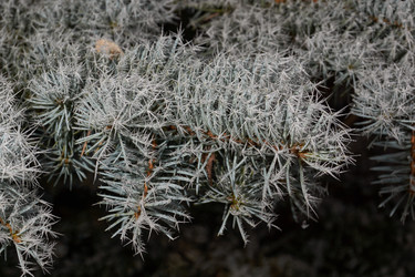 Similar image 21648199