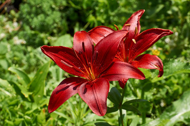 Similar image 21648200