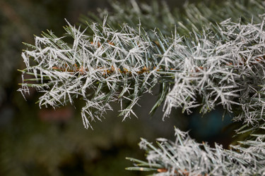 Similar image 21648201