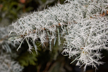 Similar image 21648230