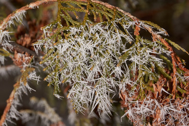 Similar image 21648232