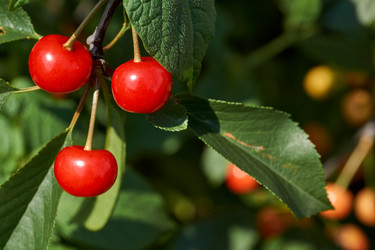 Similar image 21648233