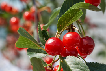 Similar image 21648235