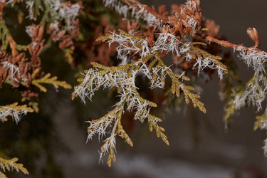 Similar image 21648236