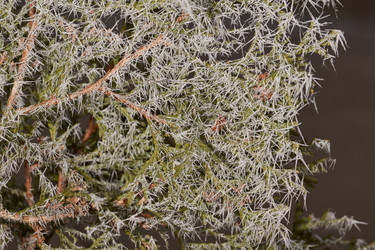 Similar image 21648238