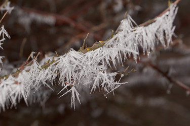 Similar image 21648240