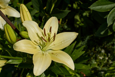 Similar image 21648241