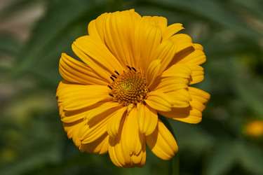 Similar image 21648247